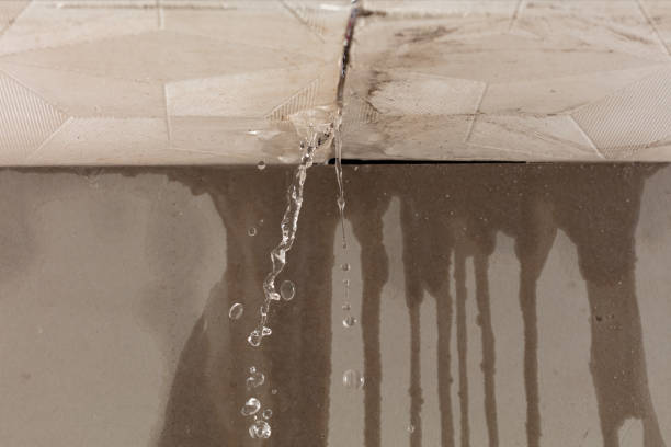 Professional Burst Pipe Cleanup technician working in Cedar Island, NC
